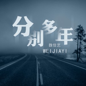 收聽魏佳藝的分別多年 (完整版)歌詞歌曲