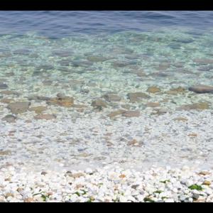 收聽Niita的Ora!歌詞歌曲