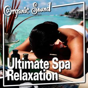 ดาวน์โหลดและฟังเพลง Meditation Harmonies for Deep Sleep พร้อมเนื้อเพลงจาก Music for Spa Relaxation