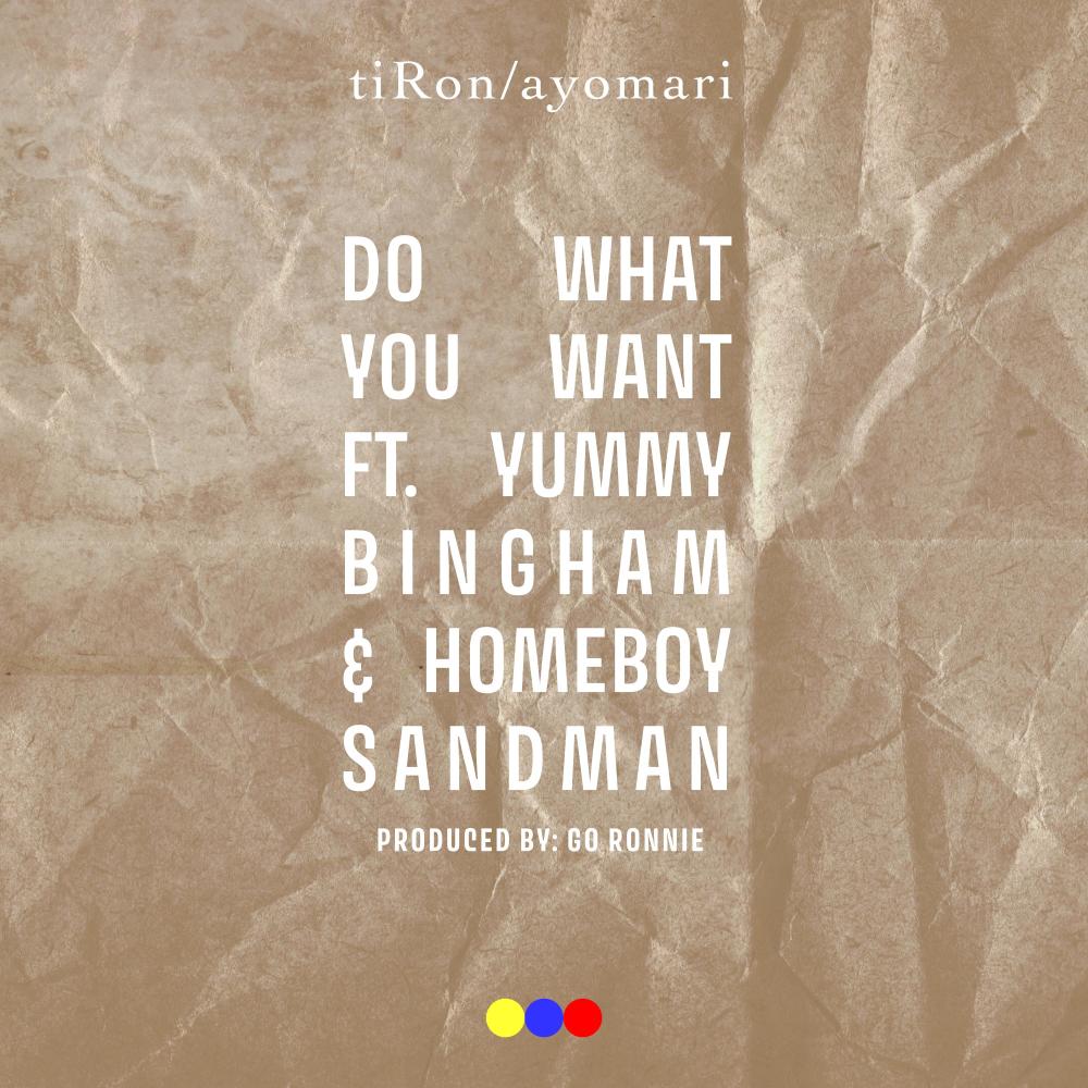 Do What You Want (feat. Yummy Bingham & Homeboy Sandman) (Radio Edit)