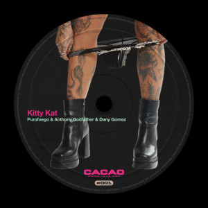 Listen to KITTY KAT (extended) song with lyrics from Purofuego