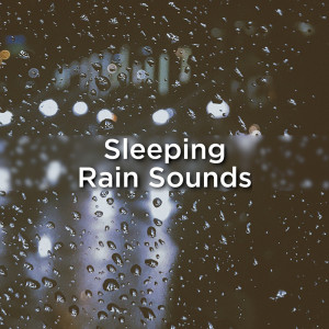 Listen to Rain Sounds For Sleep song with lyrics from Rain Sounds
