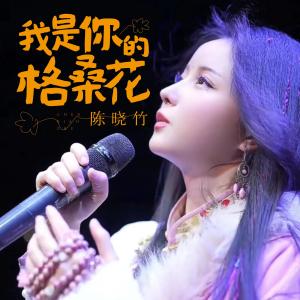 收聽陳曉竹的我是你的格桑花歌詞歌曲