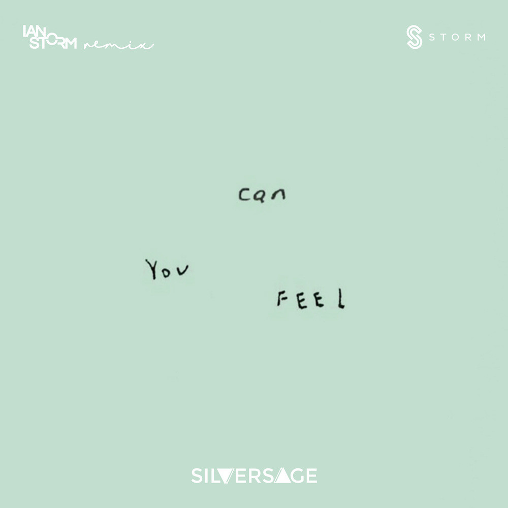 Can You Feel (Ian Storm Remix)