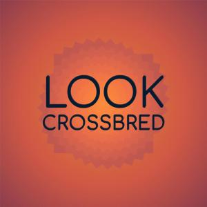 อัลบัม Look Crossbred ศิลปิน Various