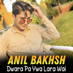 Listen to Grana Dilawara song with lyrics from Anil Bakhsh
