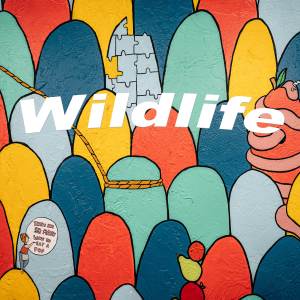 收聽Jeremy Golam的Wildlife歌詞歌曲