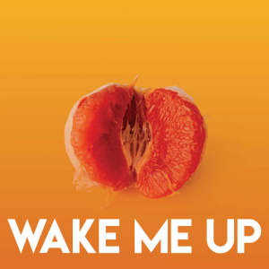 Album Wake Me Up oleh DJ Tokeo