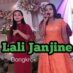 Album Lali Janjine from 