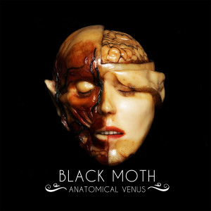 ดาวน์โหลดและฟังเพลง Pig Man พร้อมเนื้อเพลงจาก Black Moth