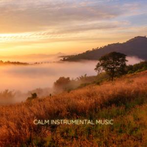 Album Calm Instrumental Music oleh Chris Snelling