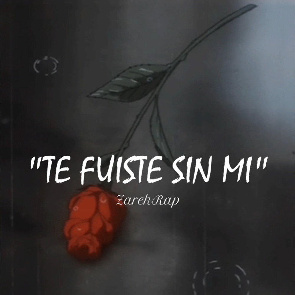 Te Fuiste Sin Mi