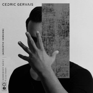 收聽Cedric Gervais的Somebody New (Guitar Version)歌詞歌曲