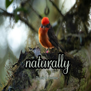 收聽DJ New的Naturally歌詞歌曲