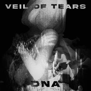 Veil of Tears