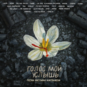 收聽Николай Расторгуев的Песня о далёкой Родине歌詞歌曲