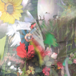 收听Joan Of Arc的Flowers歌词歌曲
