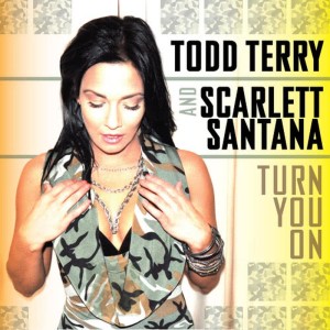 收聽Todd Terry的Turn You On [Tee's Dub] (Tee's Dub)歌詞歌曲