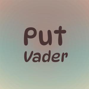 Various Artists的專輯Put Vader