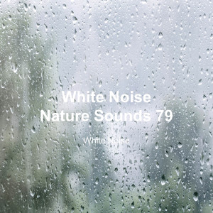Album White Noise 79 (Rain Sounds, Bonfire Sound, Baby Sleep, Deep Sleep) oleh White Noise