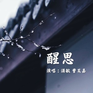 Album 醒思 from 潇敏