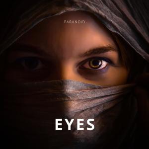 收聽Paranoid的Eyes歌詞歌曲