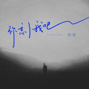 Album 你忘了我吧 from 田园