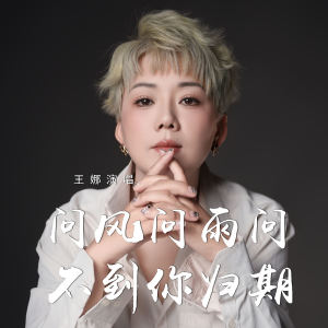 Album 问风问雨问不到你归期 from 王娜