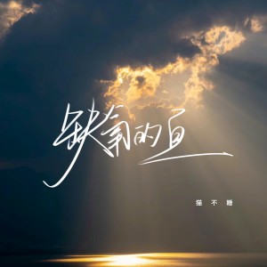 貓不睡的專輯缺氧的魚