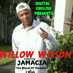 Album Digital English Presents Willow Wilson from Willow Wilson