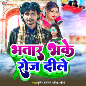 Listen to Bhatar Bhake Roj Dile song with lyrics from Brijesh Halchal