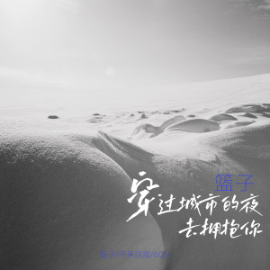 Album 穿过城市的夜去拥抱你 from 篮子