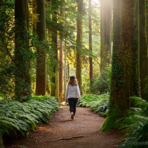 ดาวน์โหลดและฟังเพลง In The Arms Of Tranquil Thoughts พร้อมเนื้อเพลงจาก Quiet Relaxing Music