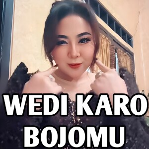 Listen to WEDI KARO BOJOMU song with lyrics from Wiwik Sagita