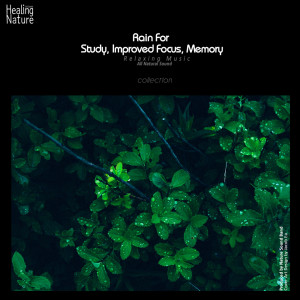 ดาวน์โหลดและฟังเพลง Healing Rain พร้อมเนื้อเพลงจาก 힐링 네이쳐 Nature Sound Band
