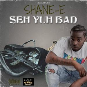 Newave Music的專輯Seh Yuh Bad (Explicit)