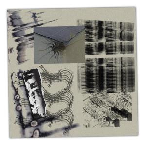 ดาวน์โหลดและฟังเพลง Moulting พร้อมเนื้อเพลงจาก Chiyu