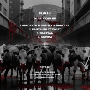 ดาวน์โหลดและฟังเพลง Mad Cow (Explicit) พร้อมเนื้อเพลงจาก Kali