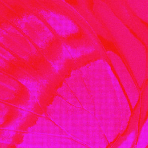 Album escape from 