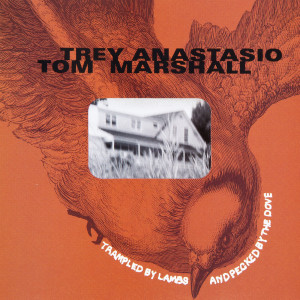 ดาวน์โหลดและฟังเพลง Limb by Limb พร้อมเนื้อเพลงจาก Trey Anastasio