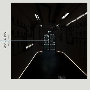 Album MOON AUDIO (Explicit) oleh FLX