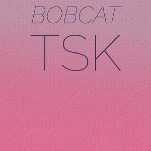 Various Artists的專輯Bobcat Tsk