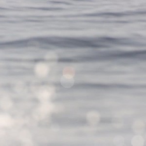收聽Cape Francis的Nobody歌詞歌曲