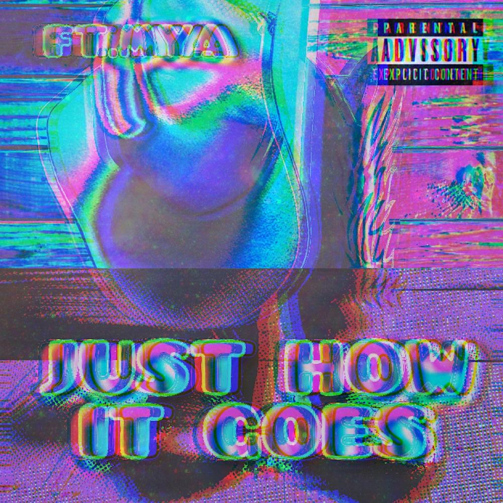 JUST HOW IT GOES (feat. Mya) (Explicit)