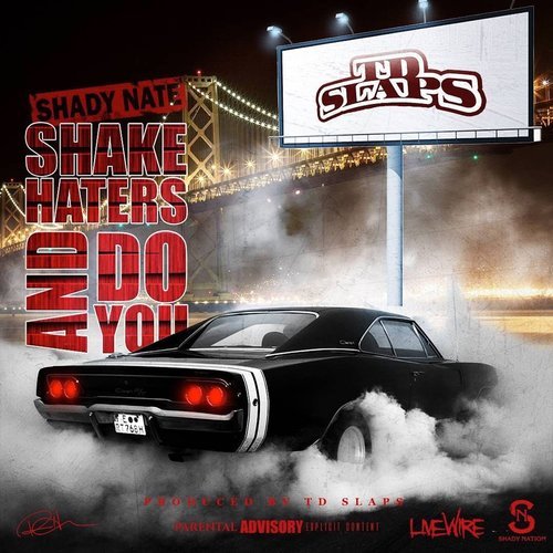 Shake Haters and Do You (Explicit) (其他)