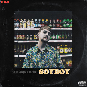 Listen to Soyboy (Explicit) song with lyrics from Freddie Floyd