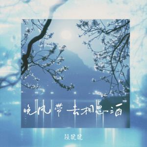 Album 晚风带去相思酒 from 段晓晓
