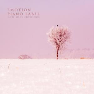 Various Artists的專輯Emotion Piano With A Sense Of Farewell