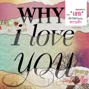 อัลบัม WHY i love you ศิลปิน โซคูล