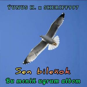 Album Bilenok (feat. Yunus.H & Sheriff997) (Explicit) oleh 100de100hiphop